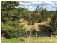 East Gresford NSW 2311