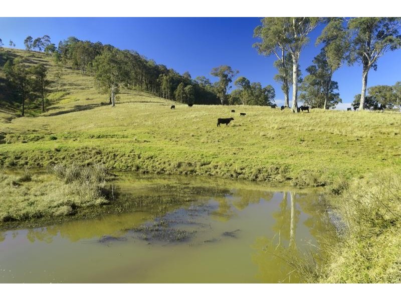 Alison Road, Dungog NSW 2420