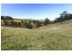 Alison Road, Dungog NSW 2420