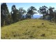 Alison Road, Dungog NSW 2420