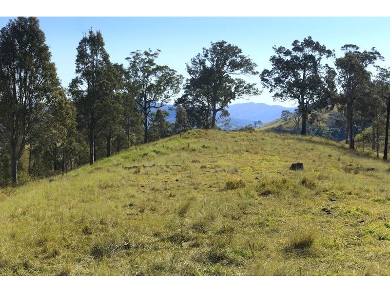 Alison Road, Dungog NSW 2420