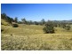 Alison Road, Dungog NSW 2420