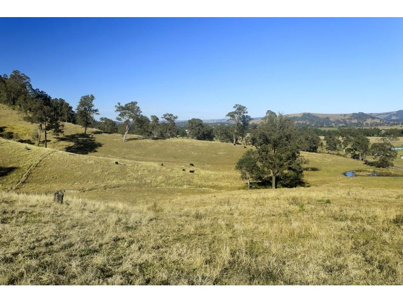 Alison Road, Dungog NSW 2420