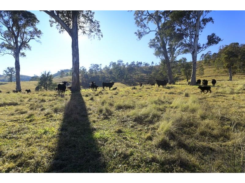 Alison Road, Dungog NSW 2420