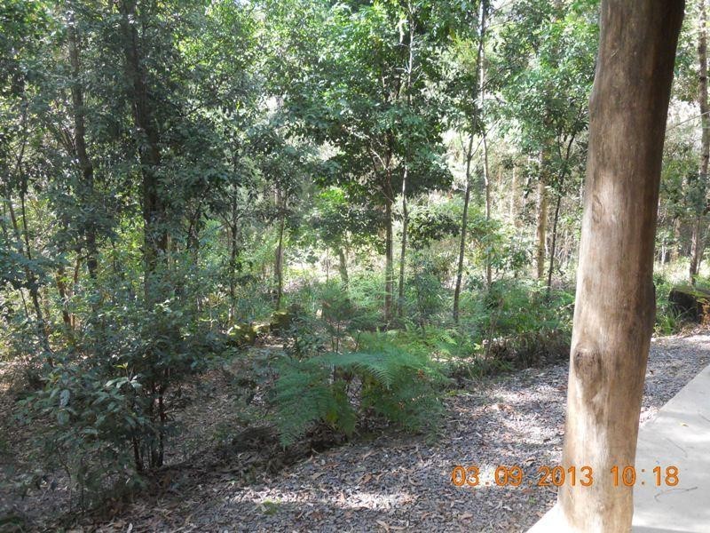 1 Main Creek Rd, Main Creek NSW 2420