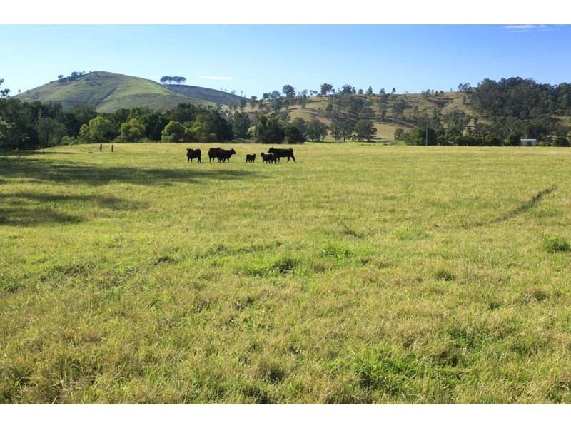 246 Alison Road, Dungog NSW 2420