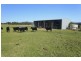 246 Alison Road, Dungog NSW 2420