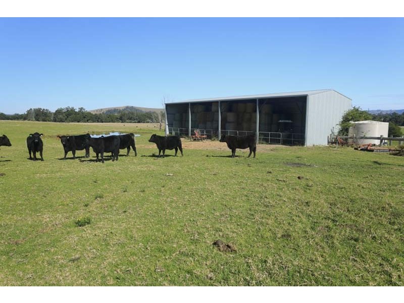 246 Alison Road, Dungog NSW 2420