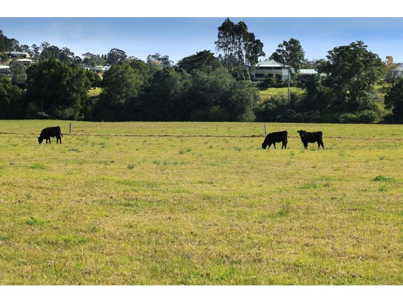 11 Verge Street, Dungog NSW 2420