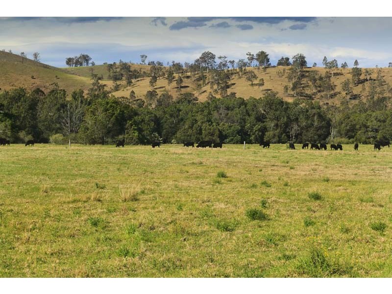 11 Verge Street, Dungog NSW 2420