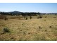 Lot 1 1397 Dungog Road, Dungog NSW 2420