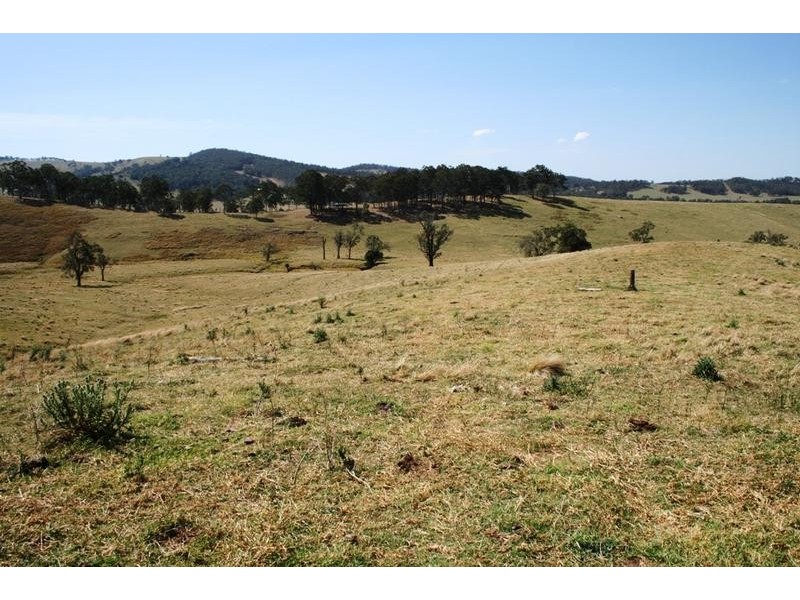 Lot 1 1397 Dungog Road, Dungog NSW 2420