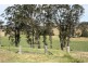Lot 1 1397 Dungog Road, Dungog NSW 2420