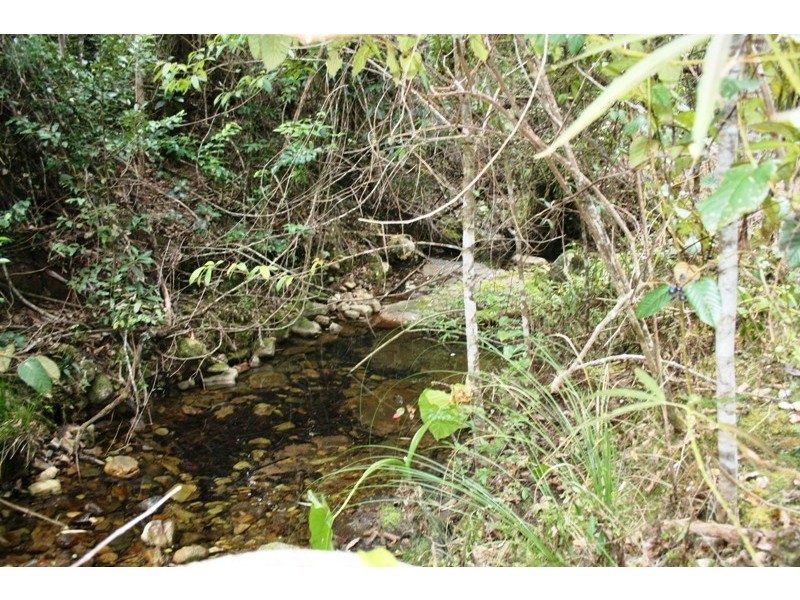 251 Moores Road, Dungog NSW 2420