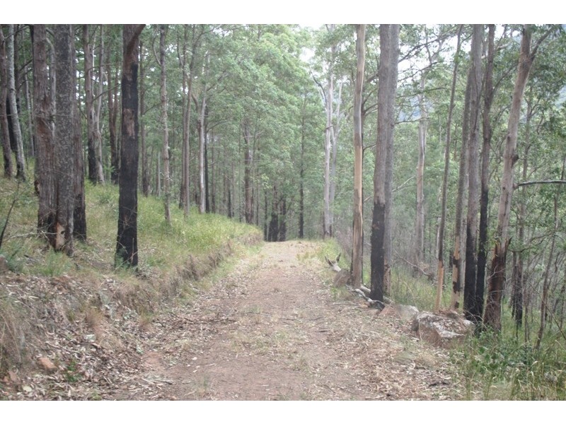 251 Moores Road, Dungog NSW 2420