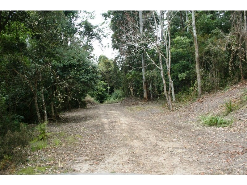 251 Moores Road, Dungog NSW 2420