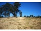 Lots 2,4,8 1397 Dungog Road, Dungog NSW 2420
