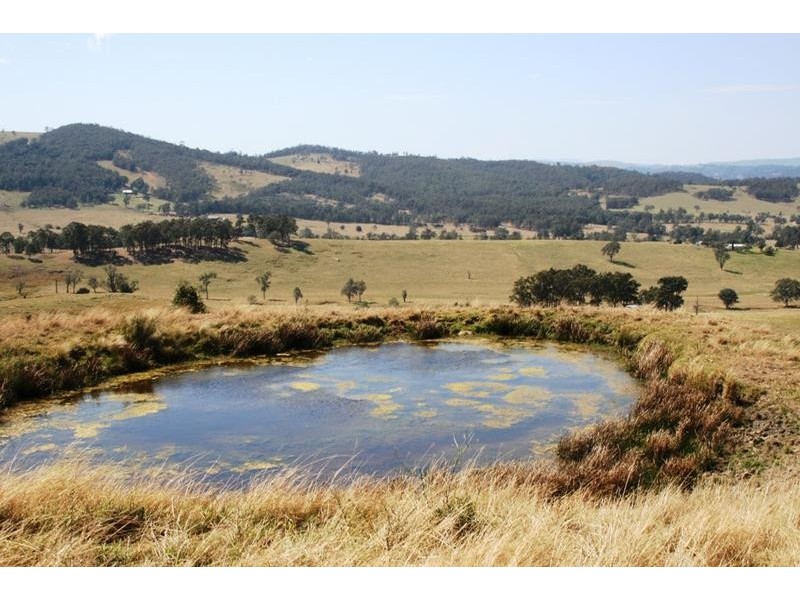 Lots 2,4,8 1397 Dungog Road, Dungog NSW 2420