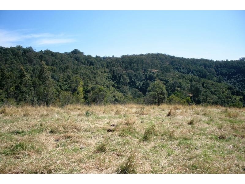 Lots 2,4,8 1397 Dungog Road, Dungog NSW 2420