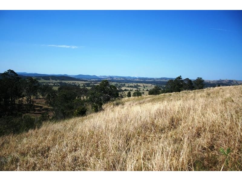 Lots 2,4,8 1397 Dungog Road, Dungog NSW 2420
