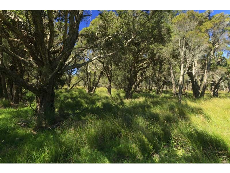 1770 Clarence Town Road, Seaham NSW 2324