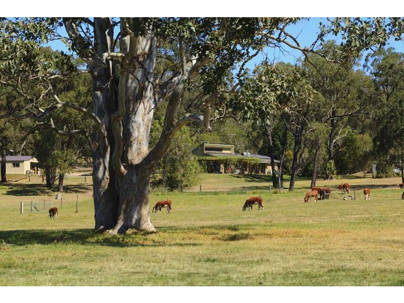 1770 Clarence Town Road, Seaham NSW 2324