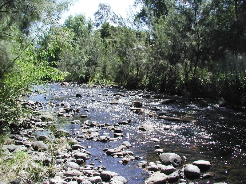 2172 Allyn River Road, East Gresford NSW 2311