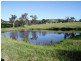 2172 Allyn River Road, East Gresford NSW 2311