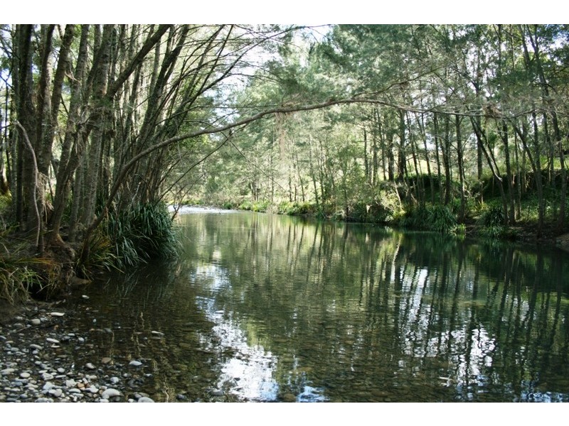 2172 Allyn River Road, East Gresford NSW 2311