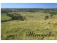 4494 Clarence Town Road, Dungog NSW 2420