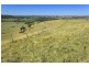4494 Clarence Town Road, Dungog NSW 2420