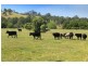 4494 Clarence Town Road, Dungog NSW 2420
