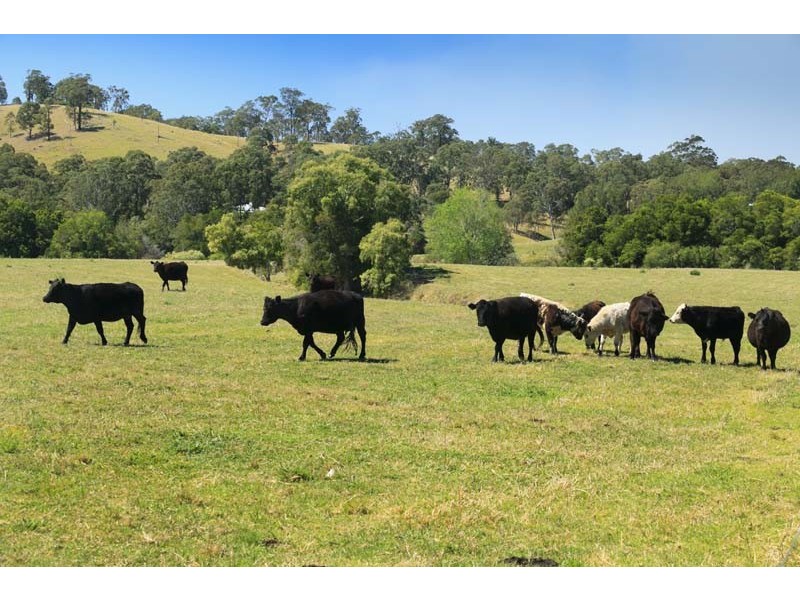 4494 Clarence Town Road, Dungog NSW 2420