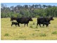 4494 Clarence Town Road, Dungog NSW 2420