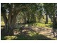 4494 Clarence Town Road, Dungog NSW 2420