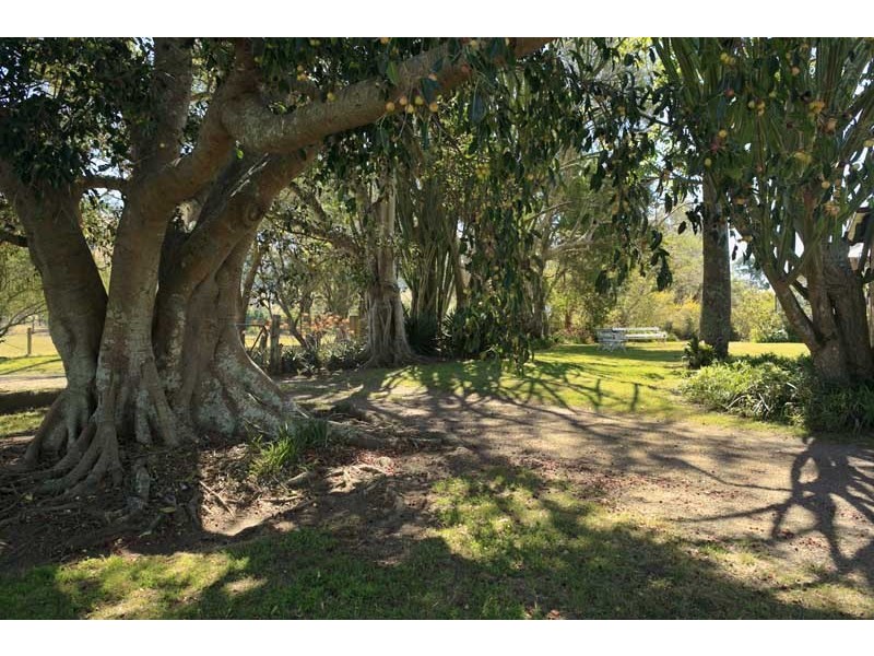 4494 Clarence Town Road, Dungog NSW 2420