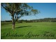 263 Martins Creek Road, Paterson NSW 2421