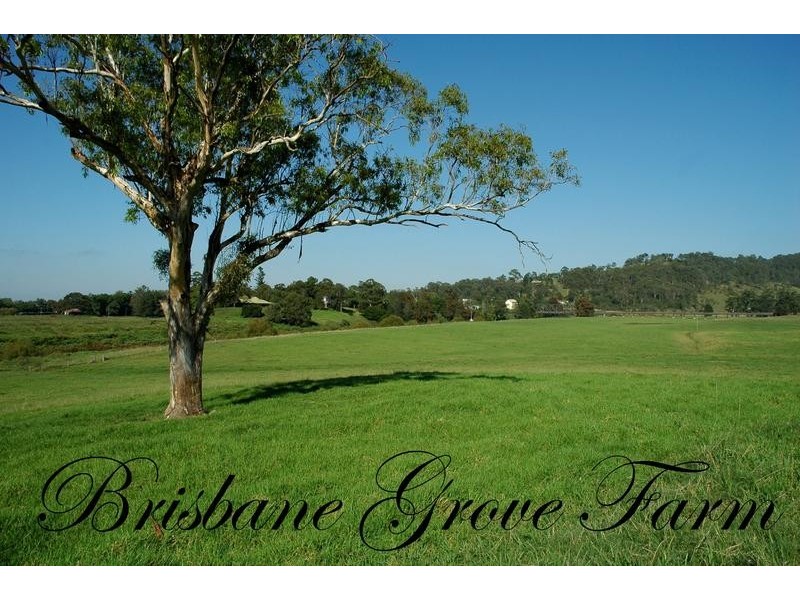 263 Martins Creek Road, Paterson NSW 2421