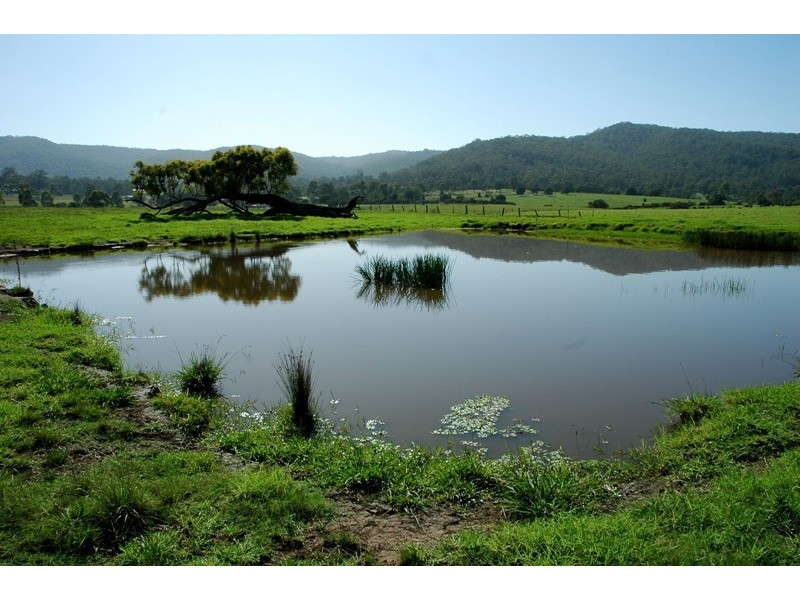 263 Martins Creek Road, Paterson NSW 2421