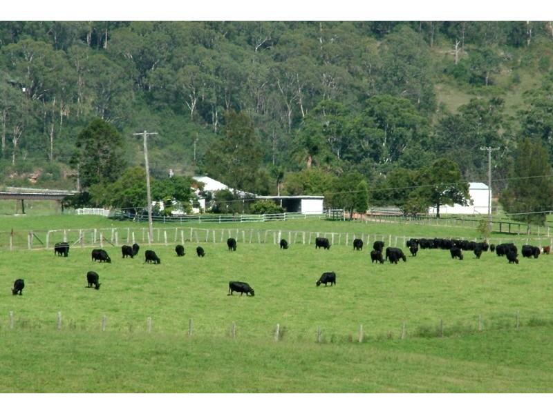 263 Martins Creek Road, Paterson NSW 2421