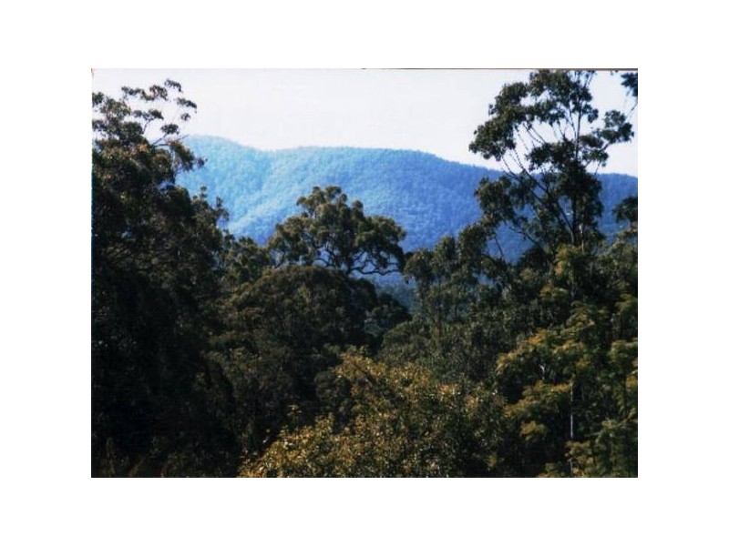 Lot 82, 40 Skimmings Gap Road, Main Creek NSW 2420