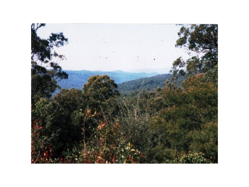 Lot 82, 40 Skimmings Gap Road, Main Creek NSW 2420