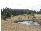 Lot 61 Sugarloaf ROAD, Dungog NSW 2420