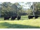 1369 Booral Road, Girvan NSW 2425