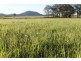 1369 Booral Road, Girvan NSW 2425