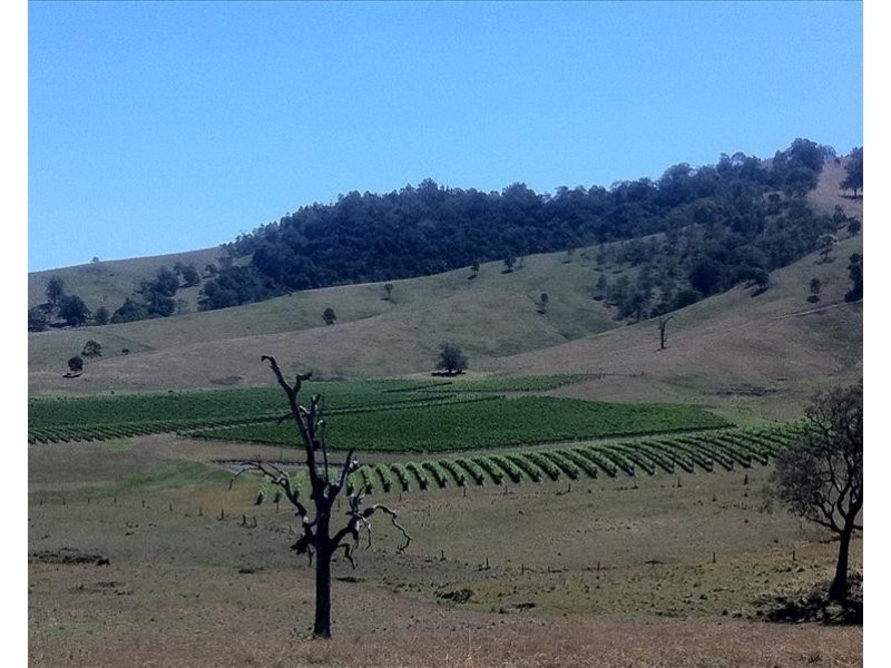 East Gresford NSW 2311