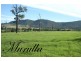 591 Fishers Hill Road, Gresford NSW 2311