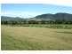 591 Fishers Hill Road, Gresford NSW 2311