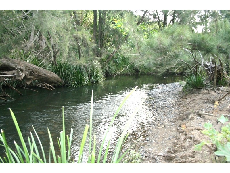 591 Fishers Hill Road, Gresford NSW 2311