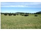 591 Fishers Hill Road, Gresford NSW 2311